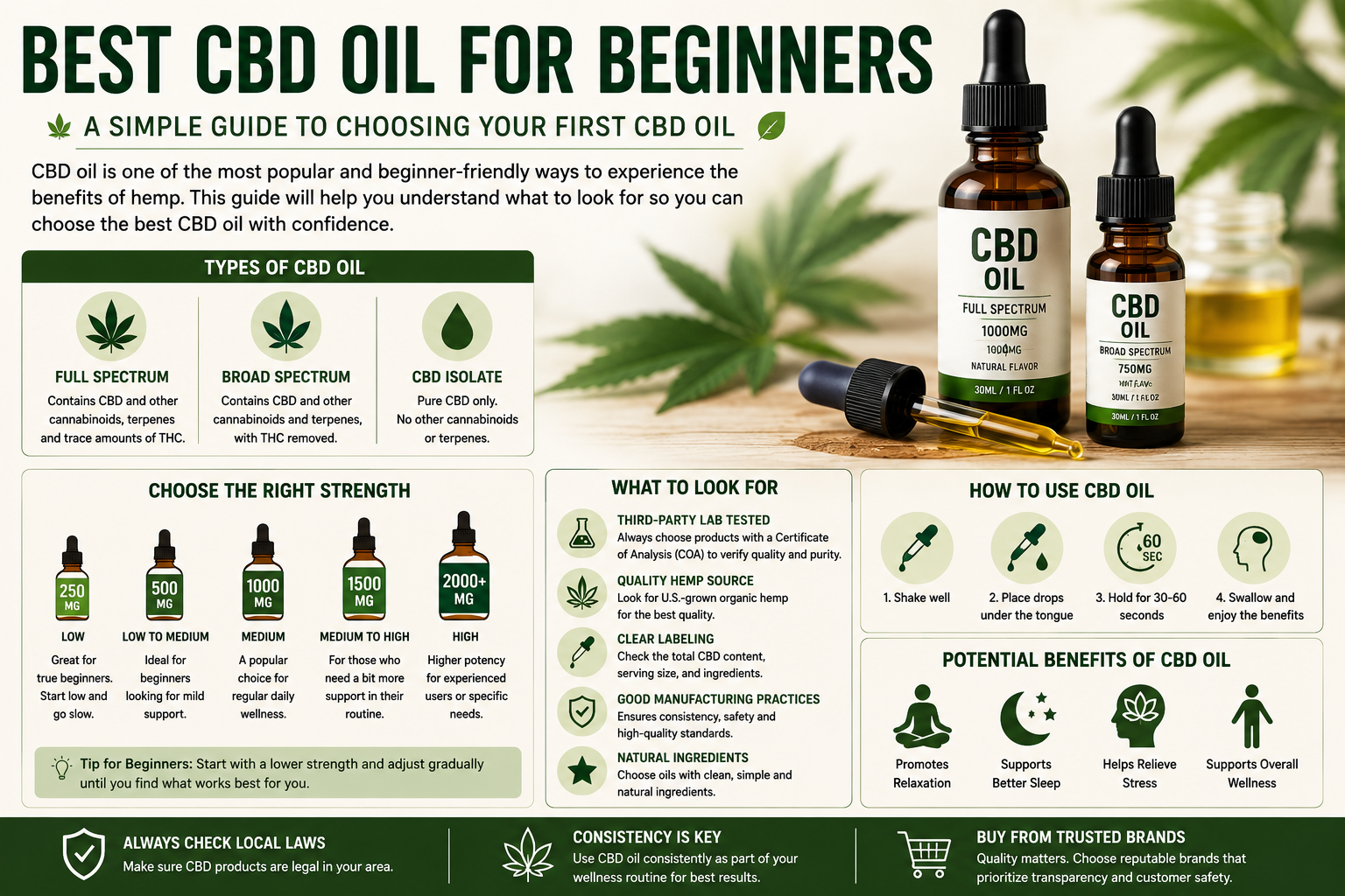 Best CBD Oil for Beginners