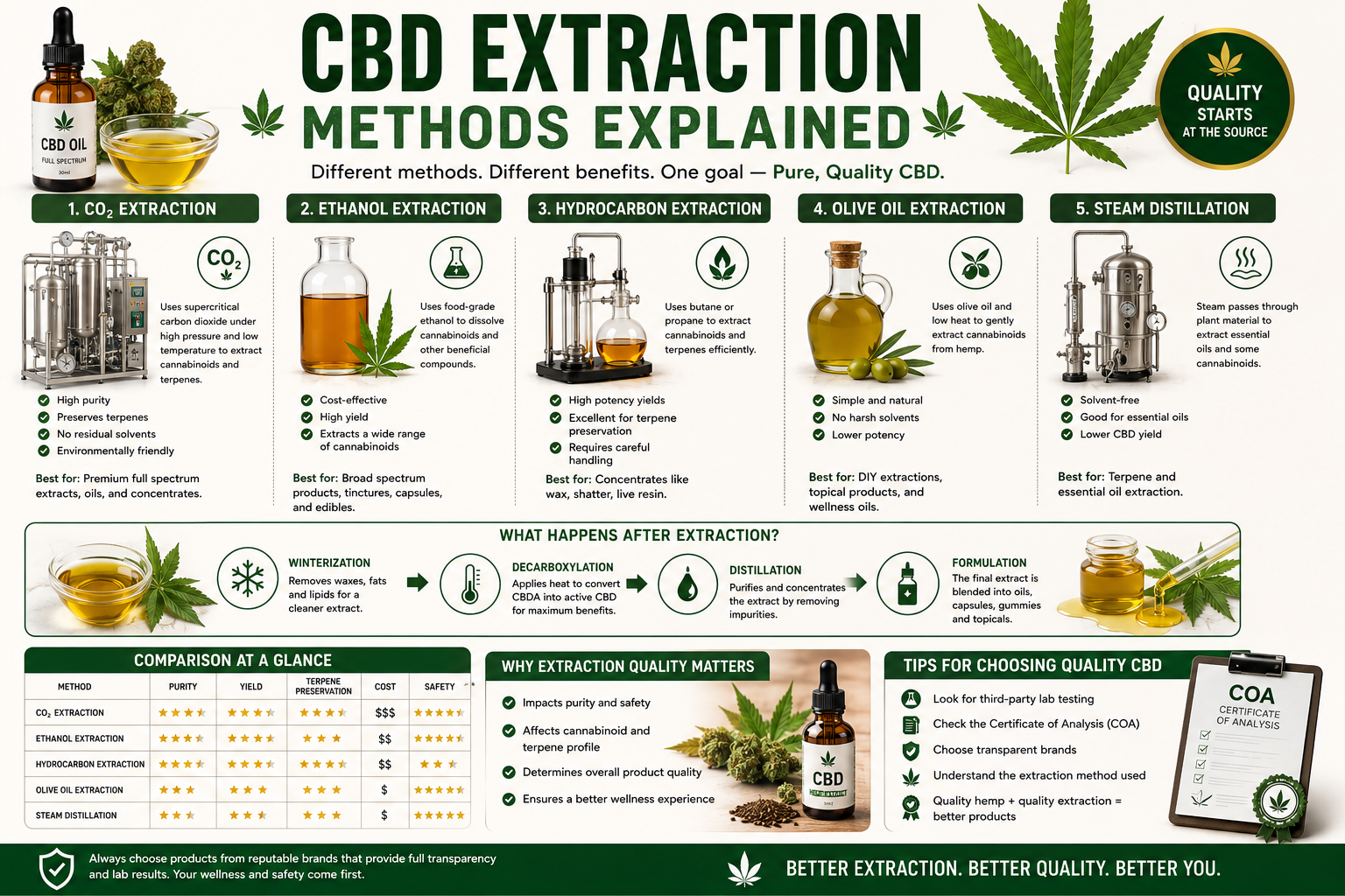 CBD Extraction Methods Explained