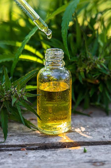 CBD Oil for Beginners UAE