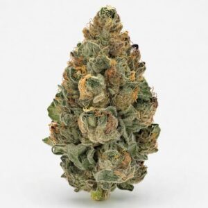 Hindu Kush Cannabis Strain