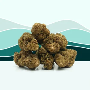 OG Kush Cannabis Strain