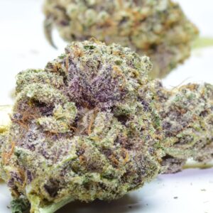 Purple Kush Cannabis Strain